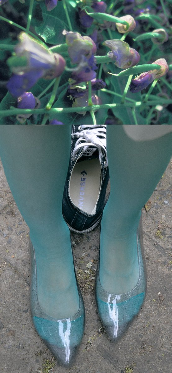 이른 イルン tweet media