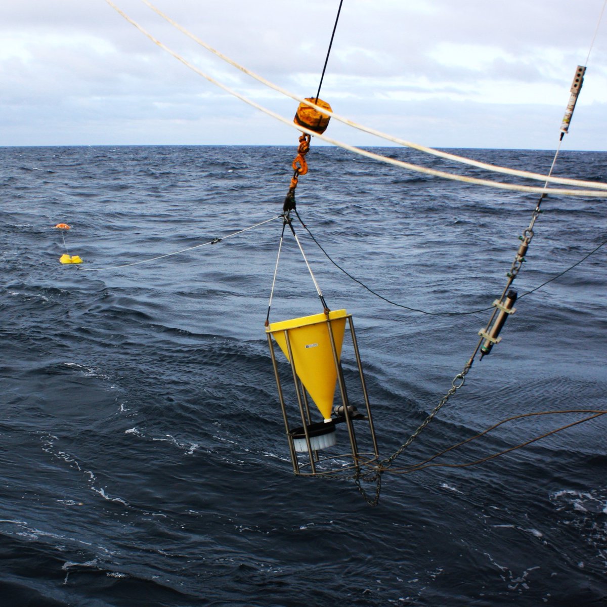National Oceanography Centre tweet media