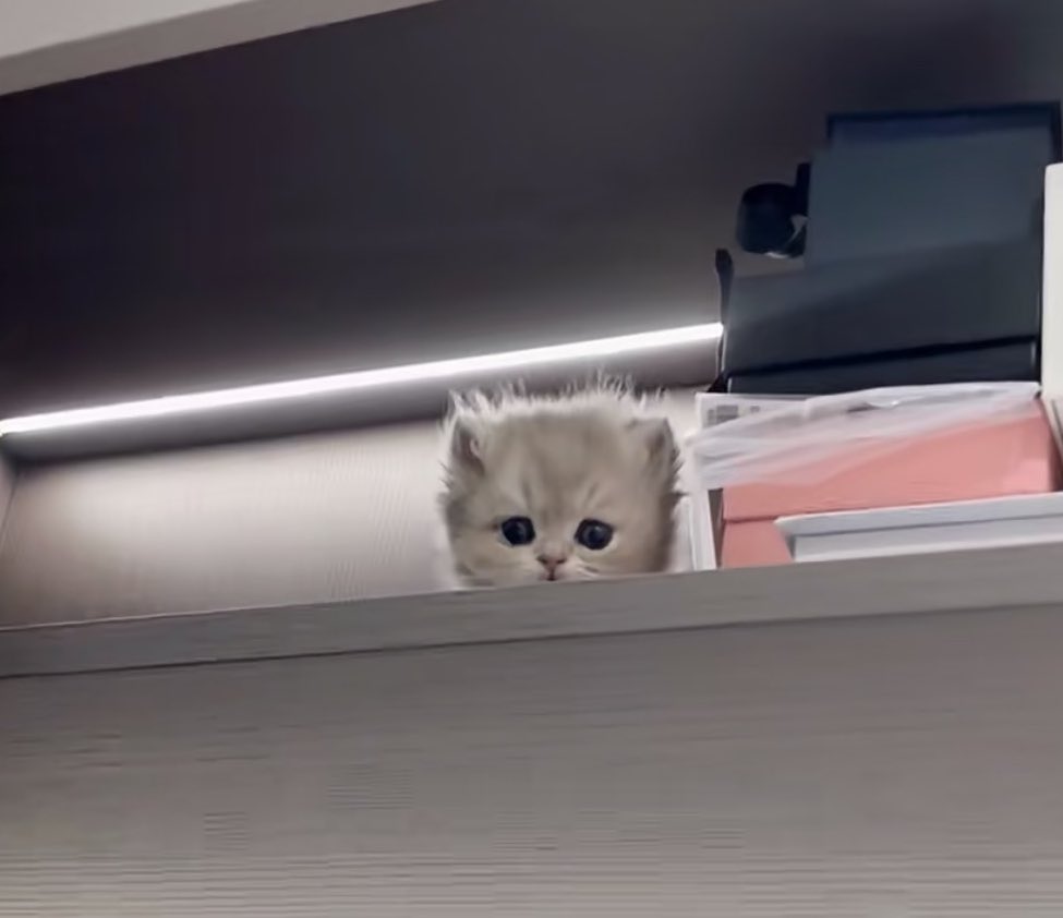 คิดถึมช้านบ้างไม