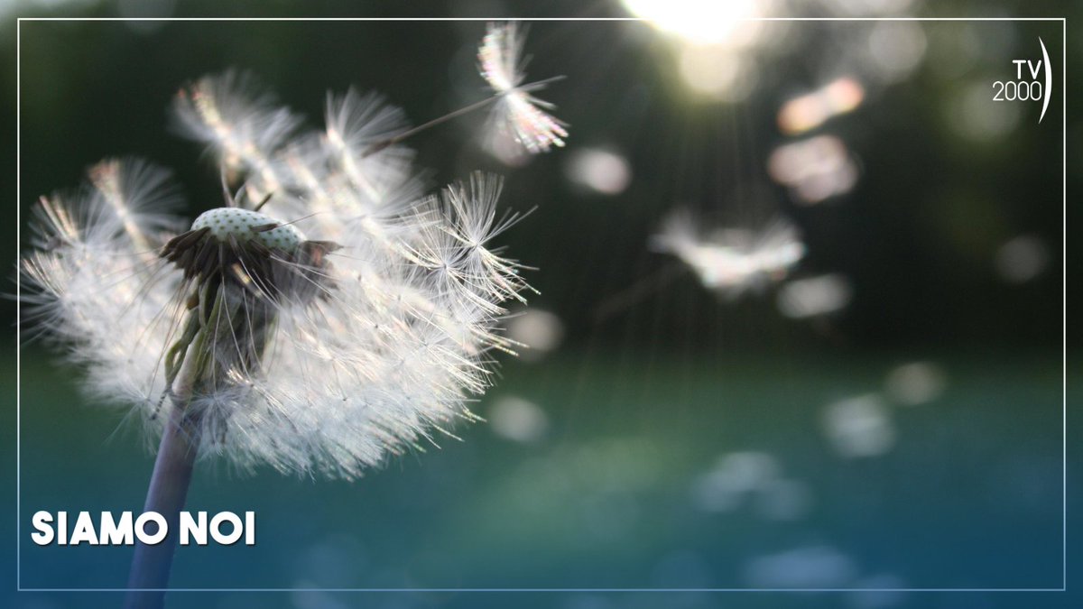 Tv2000.it tweet media