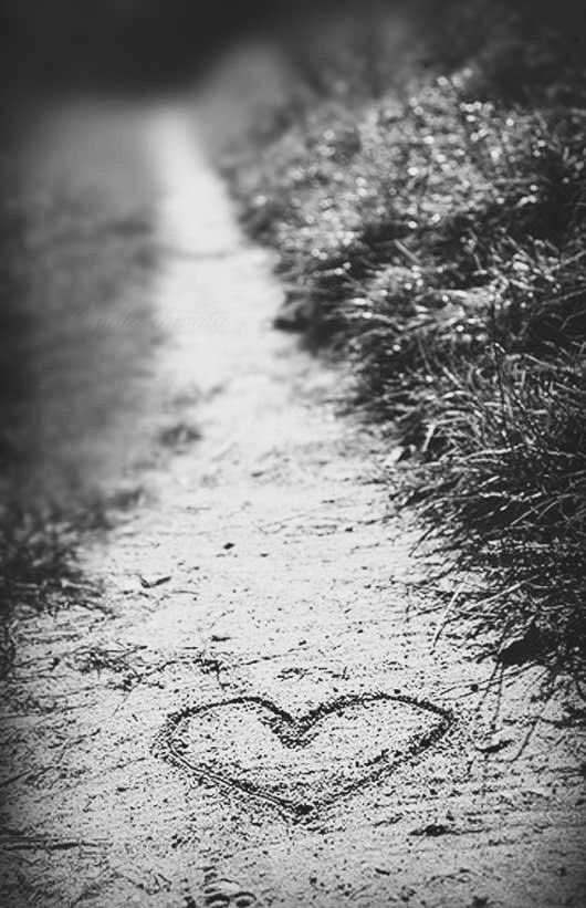 السَّارِيةَ🇸🇦 tweet media