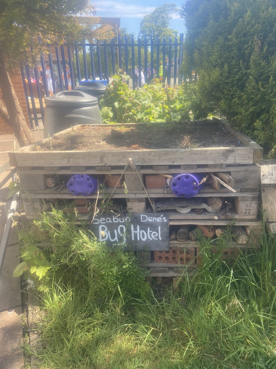 Kate Gallon (@opalgallon) on Twitter photo I could not be prouder of the team <a href="/SeaburnDenePS/">Seaburn Dene Primary School</a> who have achieved a GOLD award for their outstanding play offer 🤩. This transformation has been truly remarkable and the team have been amazing! <a href="/OPAL_CIC/">Outdoor Play and Learning (OPAL) CIC</a> <a href="/OPALNorthEast/">OPAL North East</a> #playmatters I could not be prouder of the team <a href="/SeaburnDenePS/">Seaburn Dene Primary School</a> who have achieved a GOLD award for their outstanding play offer 🤩. This transformation has been truly remarkable and the team have been amazing! <a href="/OPAL_CIC/">Outdoor Play and Learning (OPAL) CIC</a> <a href="/OPALNorthEast/">OPAL North East</a> #playmatters