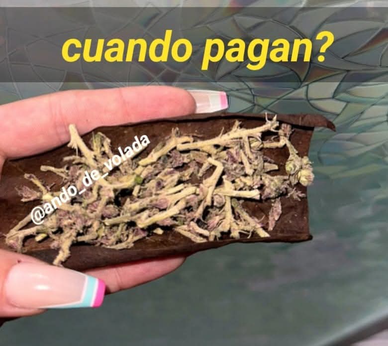 ando_volada_'s tweet photo. 😓😓 https://t.co/chb3klwDON