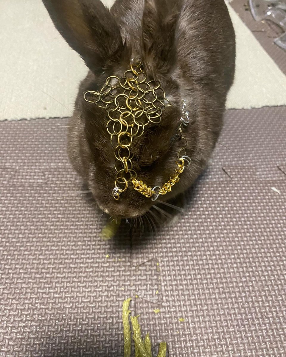 kenzzzd4fun's tweet photo. うさぎのチェーンヘルム編み出しました。初めてチェーン編むので網間違え多くてめっちゃやり直ししちゃうし途中で訳わかんなくなっちゃう https://t.co/G258yMQmn3