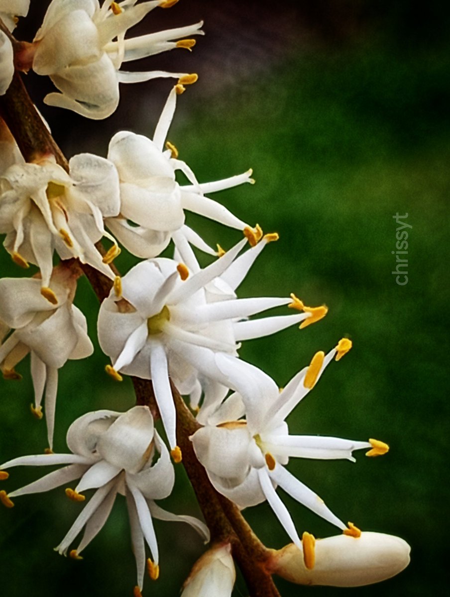 Les personnes qui te jugent ont souvent du mal à faire preuve de courage. 
belle après-midi spirituelle.....🙏💙