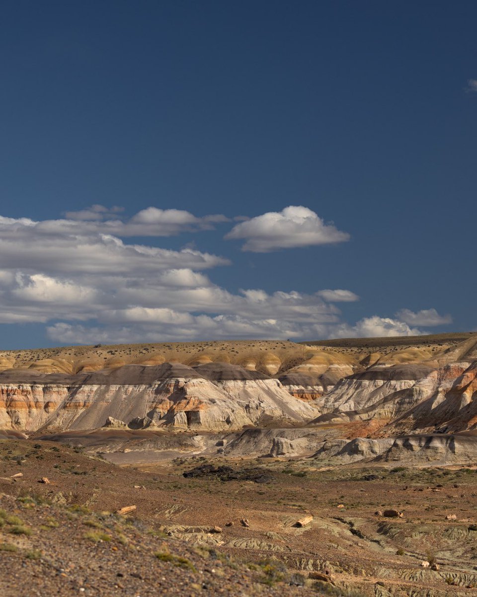 ¿Sabías que en Chubut podés caminar entre árboles de hace 65 millones de años? 🌳🦖
El Bosque Petrificado de Sarmiento guarda los secretos de una Patagonia que vio pasar dinosaurios y donde hoy hay estepa, existió un bosque verde y húmedo. Hoy, sus árboles convertidos en piedra