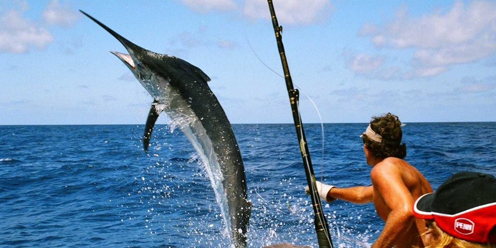 IslandStays's tweet photo. Mauritius offers exceptional deep sea fishing opportunities year-round, drawing anglers from around the globe thanks to its deep waters close to shore, rich marine biodiversity, and skilled local crews. https://t.co/ltZnVYanSF
