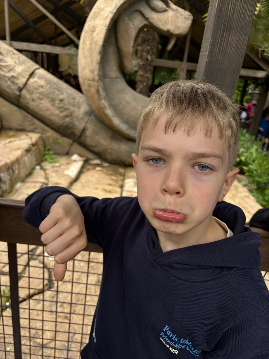 Little Sleep Stars tweet media