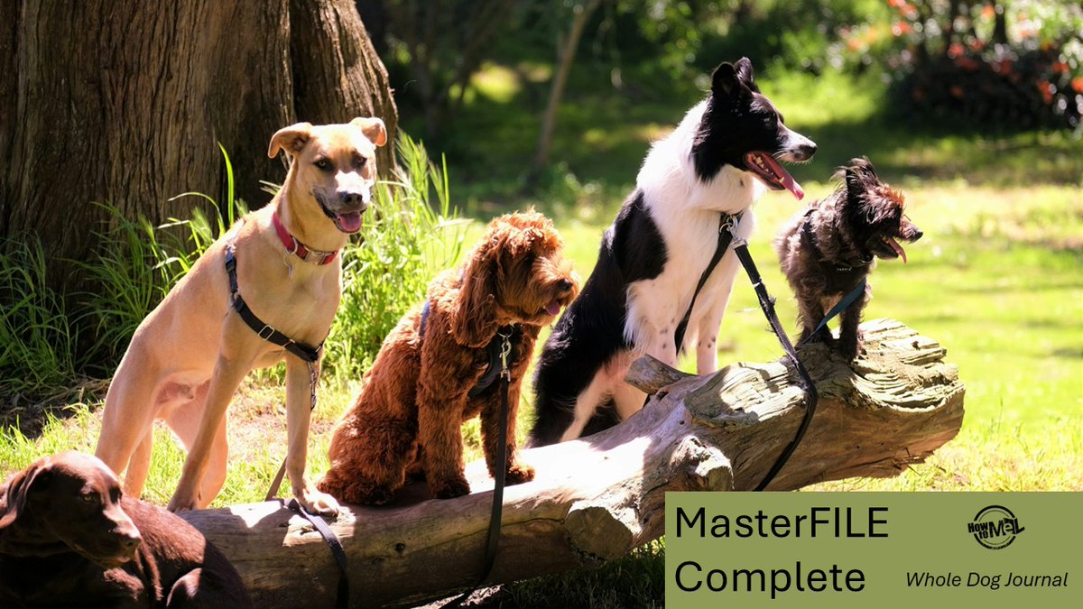 Michigan eLibrary tweet media