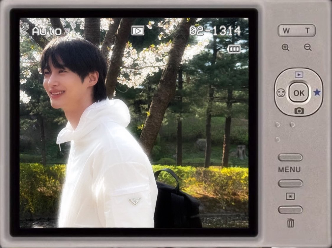 모찌 tweet media