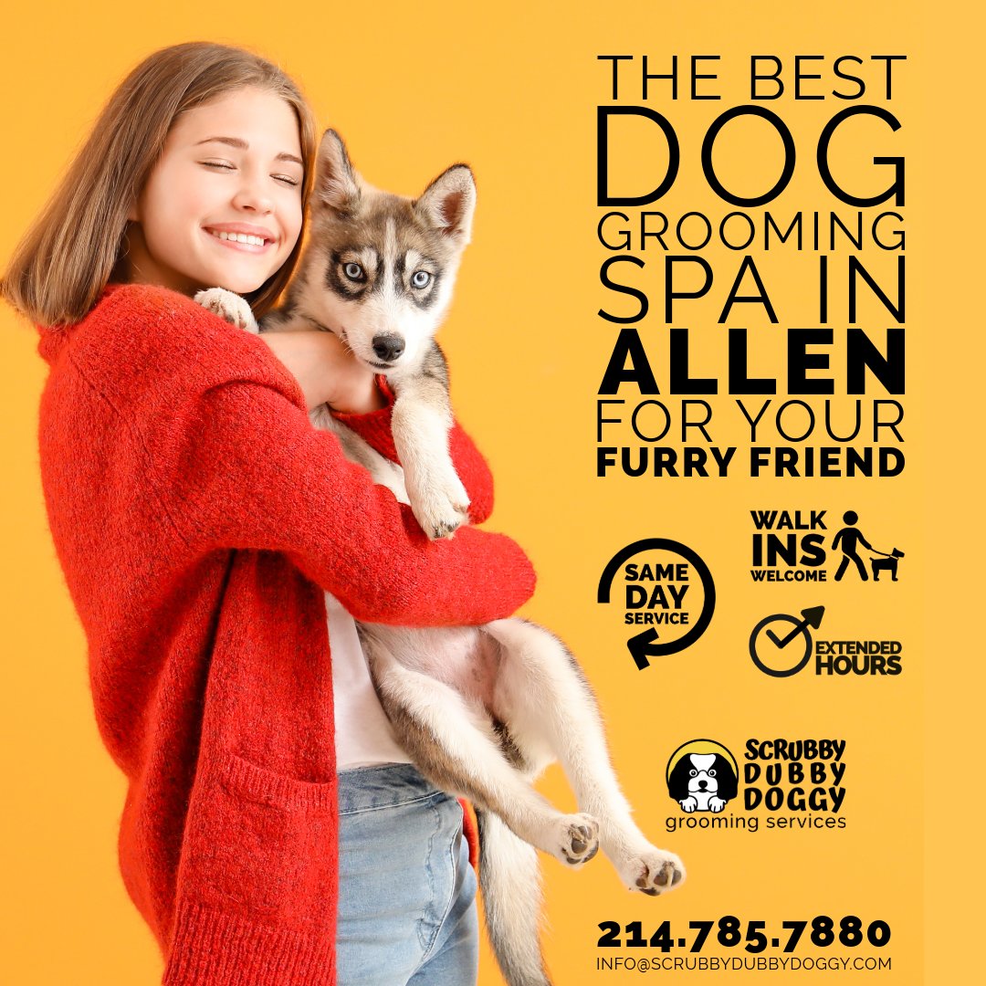 sddoggy1's tweet image. Book now at 214.785.7880 or scrubbydubbydoggy.com/booking/

#DogGrooming #ScrubbyDubbyDoggy #PamperedPup #CleanDogHappyDog #DogSpaDay #AllenTXPets #FurryFriendCare #BookNow #DogLovers #PetGroomingExperts