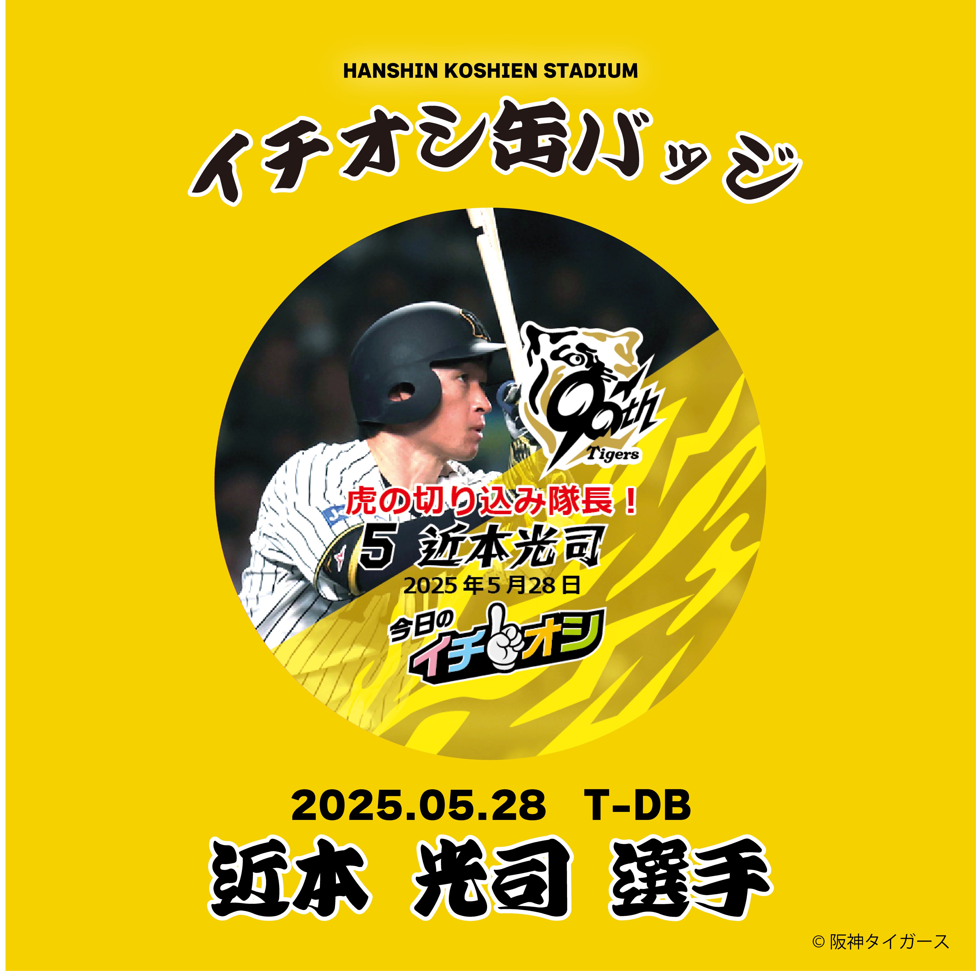 非売品】甲子園球場100周年記念ボール 阪神タイガース 近本光司