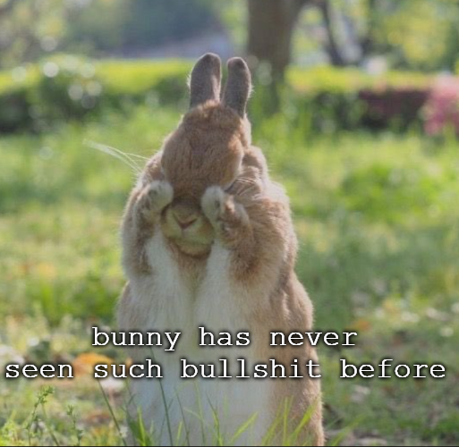 emma 🐇 (@forestdruiddyke) on Twitter photo 