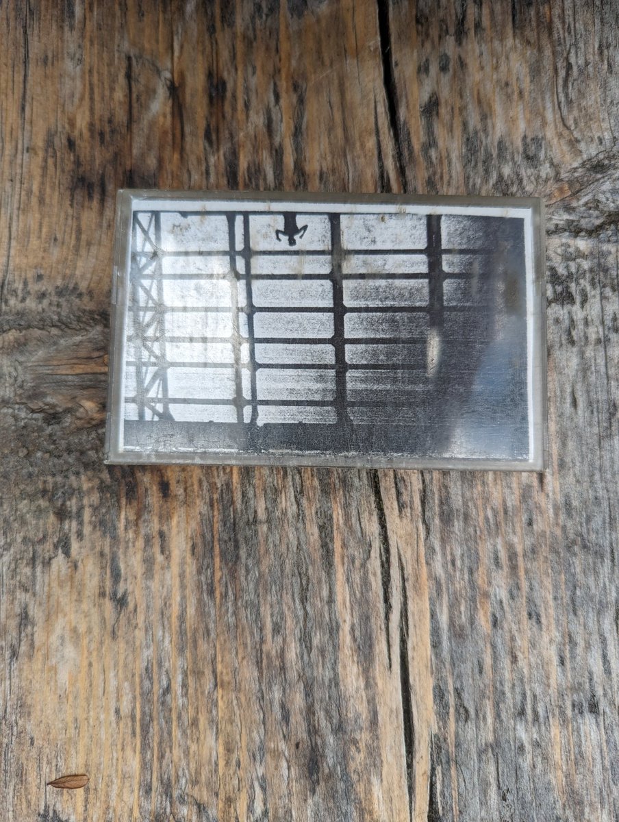 xy.ar 🐘 tweet media