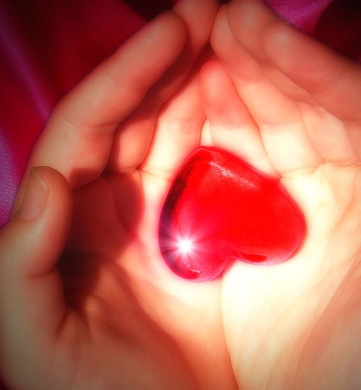 Life cycle tweet media