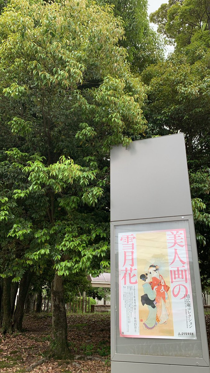 trihknnnn's tweet photo. 夏の足音🛜 https://t.co/0XJUr8G318