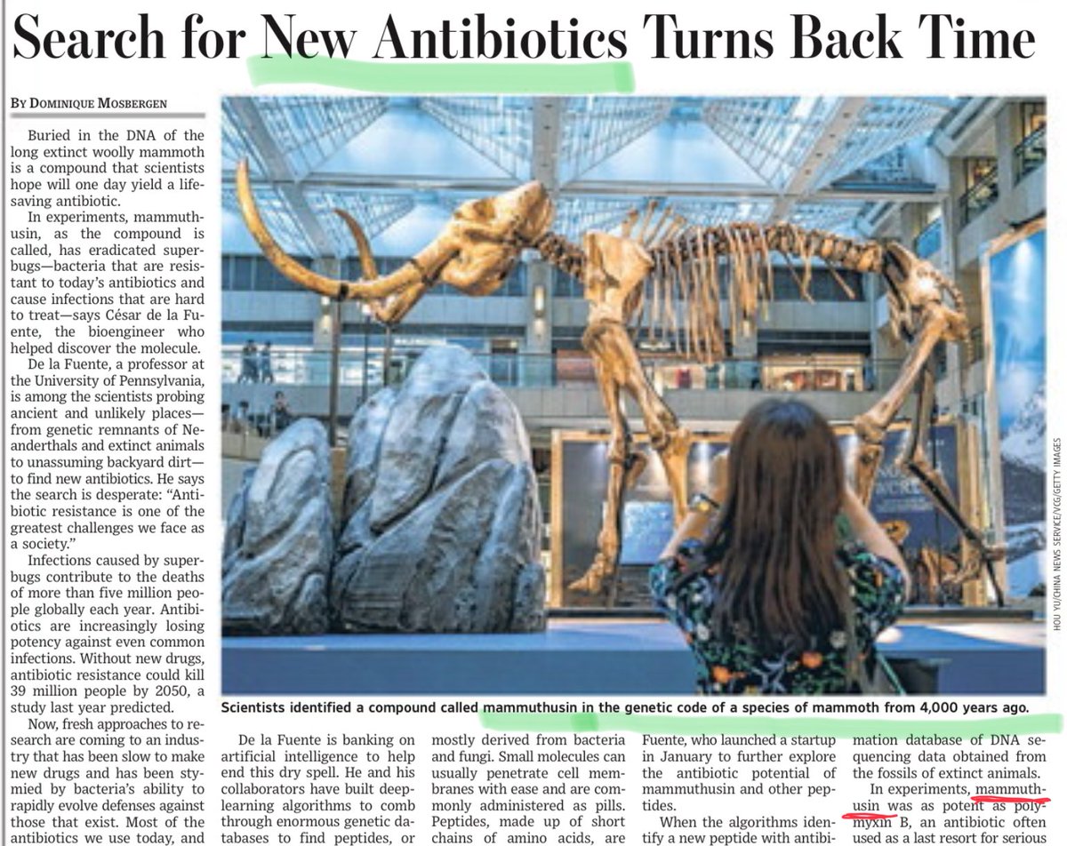 Dinosaurs 🦕 🦖 yield potential new #antibiotic 💊 so cool ⁦<a href="/WSJ/">The Wall Street Journal</a>⁩ ⁦<a href="/reactgroup/">ReAct - Action on Antibiotic Resistance</a>⁩ ⁦<a href="/gardp_amr/">Global Antibiotic R&D Partnership (GARDP)</a>⁩ ⁦<a href="/ICARS_global/">Int. Centre for Antimicrobial Resistance Solutions</a>⁩ ⁦<a href="/ABsteward/">Antibiotic Steward Bassam Ghanem 🅱️C🆔🅿️🌟</a>⁩ ⁦<a href="/theAMRnarrative/">The AMR Narrative</a>⁩