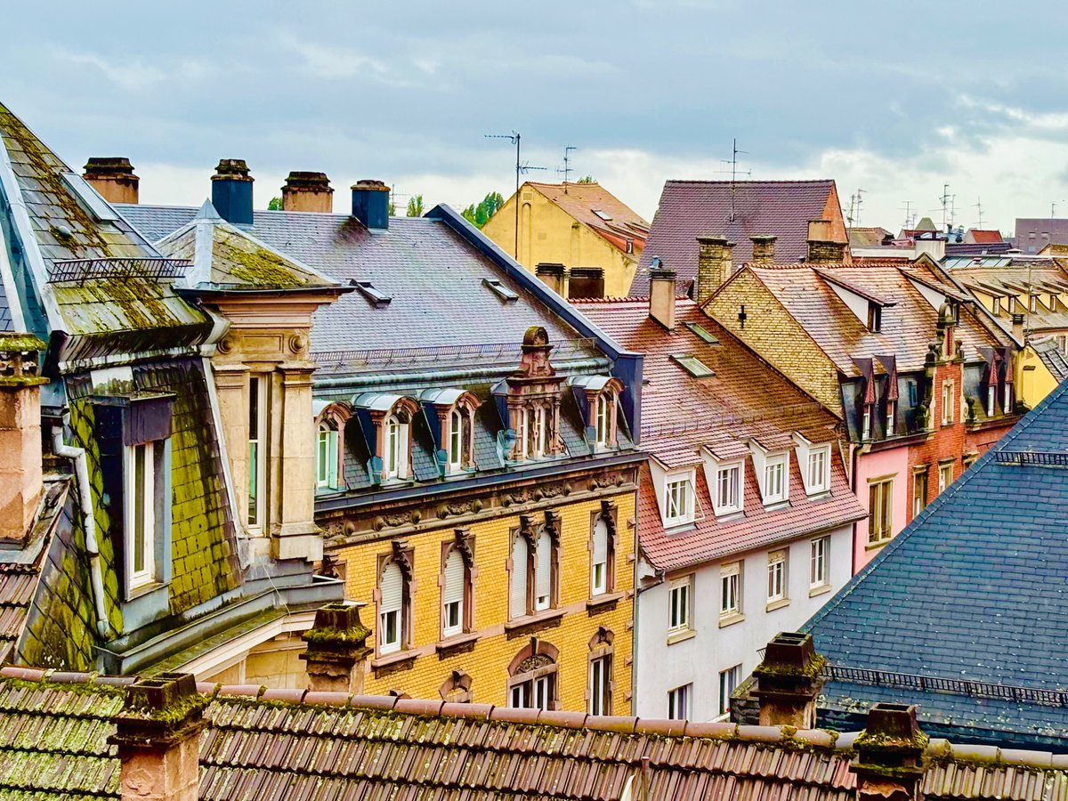 From the 5th floor 
Strasbourg, France 
28 May 2025