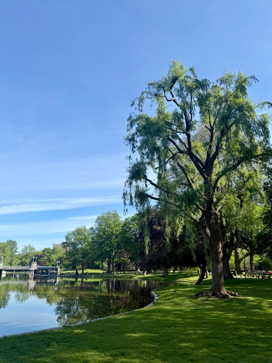 Good morning, beautiful Boston

I'm in town for 30 hours. Say hi if you're a founder-in-the-making, a researcher navigating lab budget cuts, curious about venture — or none of the above. Would love to meet (+ have a couple spots open for a cool dinner tonight)