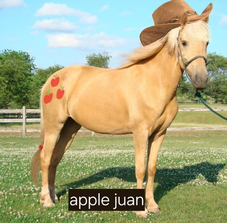 op20252073's tweet photo. #applejack #mlp 🍎🐴 https://t.co/tFGD6yNudH