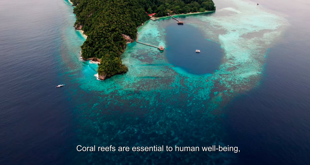UN Multi-Partner Trust Fund Office (@mptfoffice) on Twitter photo 🌏+ 🌊= #SDG15 & #SDG14 are deeply connected—healthy land supports healthy oceans!
<a href="/GlobalFundCoral/">Global Fund for Coral Reefs</a> protects vital marine ecosystems to restore #biodiversity & boost resilience of people who rely on marine ecosystems. 🫶🐠 Join the mission! mptf.undp.org/fund/fcr00 #CoralReefs 🌏+ 🌊= #SDG15 & #SDG14 are deeply connected—healthy land supports healthy oceans!
<a href="/GlobalFundCoral/">Global Fund for Coral Reefs</a> protects vital marine ecosystems to restore #biodiversity & boost resilience of people who rely on marine ecosystems. 🫶🐠 Join the mission! mptf.undp.org/fund/fcr00 #CoralReefs