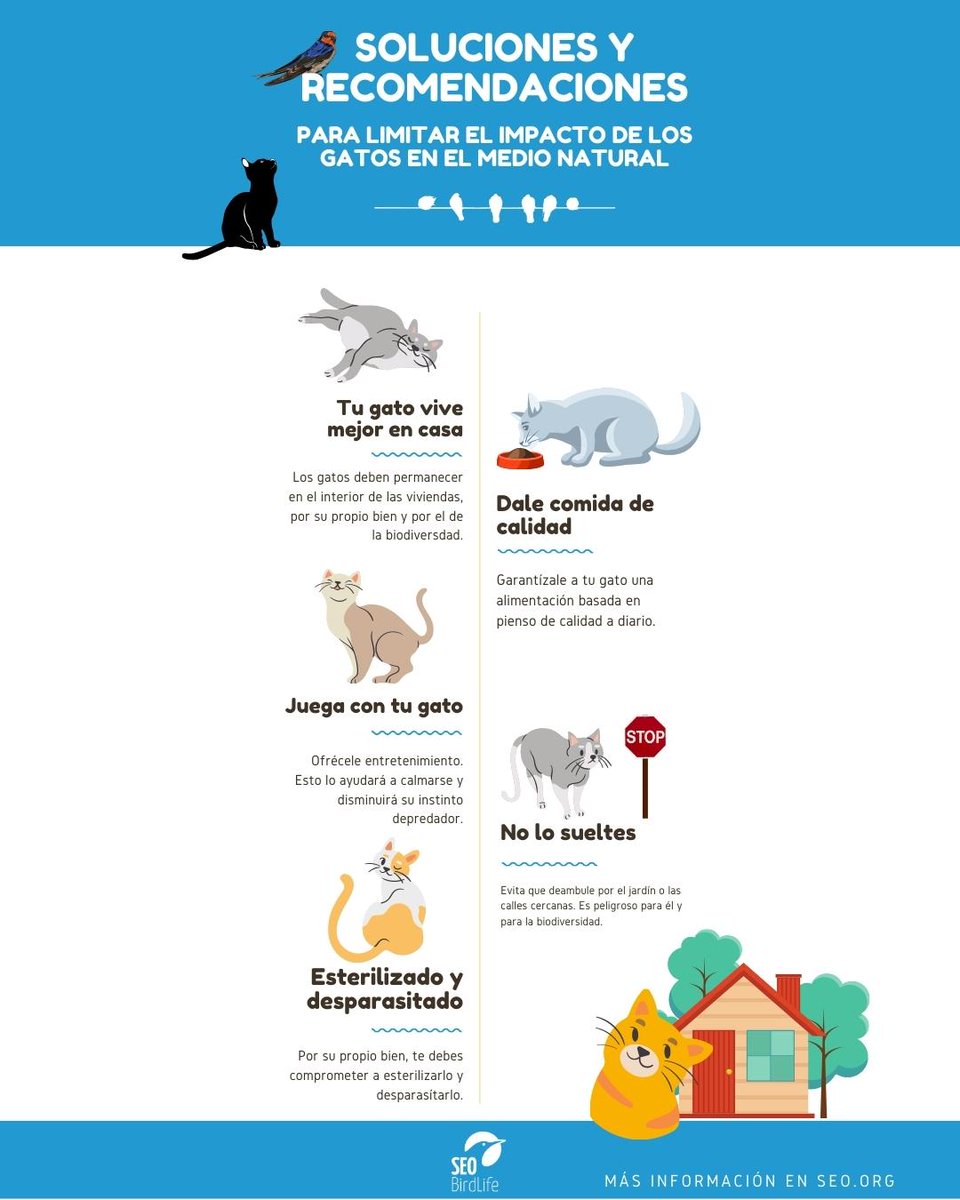 SEO/BirdLife tweet media