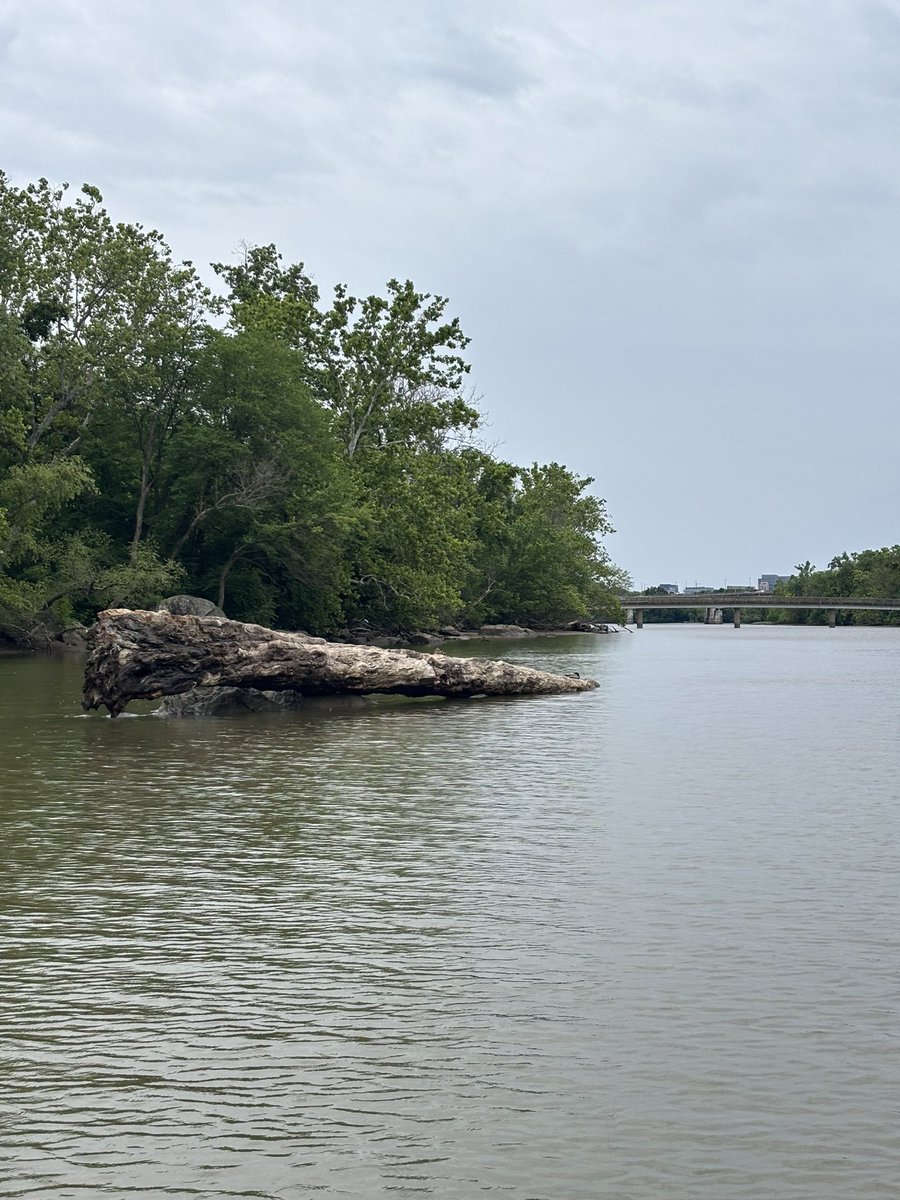 PotomacSafety's tweet photo. 🚨Alert! Found by Roosevelt Island https://t.co/XyjPh2Wx9E
