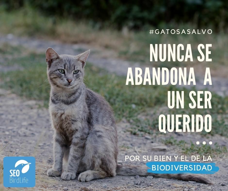 SEO/BirdLife (@seo_birdlife) on Twitter photo ⚠️ Se suspenden las actividades científicas en el parque del Alamillo por la depredación sistemática  de gatos domésticos en libertad ⚠️
🐈 Esta situación ha hecho inviable la participación de una de las estaciones más veteranas y productivas del Programa de Anillamiento para el ⚠️ Se suspenden las actividades científicas en el parque del Alamillo por la depredación sistemática  de gatos domésticos en libertad ⚠️
🐈 Esta situación ha hecho inviable la participación de una de las estaciones más veteranas y productivas del Programa de Anillamiento para el