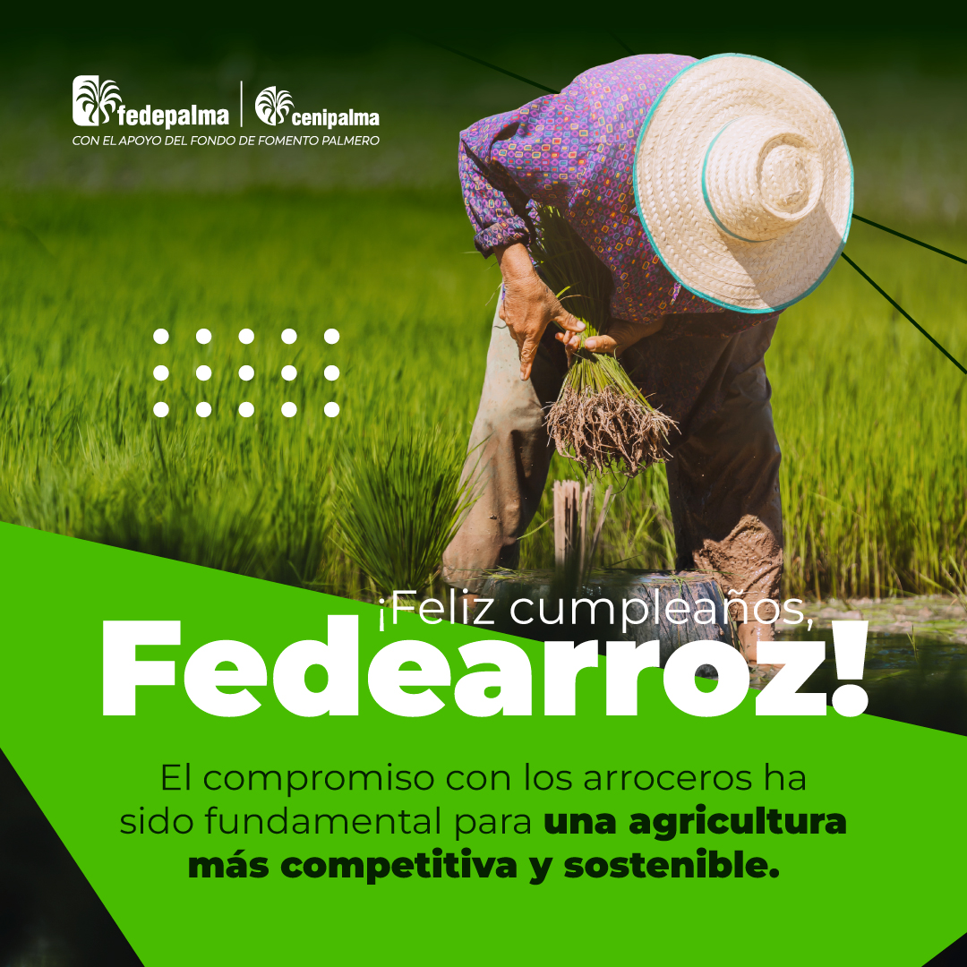 ¡Feliz cumpleaños, <a href="/Fedearrozgremio/">FEDEARROZ</a>! Reconocemos su trabajo por el fortalecimiento del sector arrocero colombiano y por ser aliado clave en el desarrollo agrícola del país.