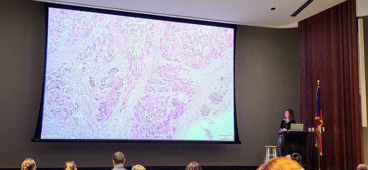 🔬 Resident Achievement Highlight 🐾
We are proud to recognize Annie Devorak, one of our veterinary pathology residents, who recently represented our department at the 2025 Southeastern Veterinary Pathology Conference (SEVPAC) in Tifton, GA.  #SEVPAC