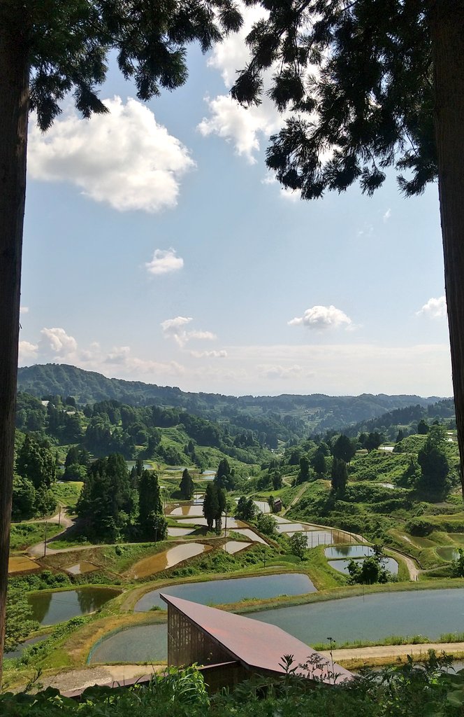 美しい山古志の棚田風景。