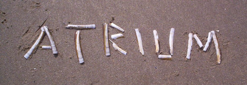 Pssst! Thought you might like to know...

We shall be opening general poetry submissions for one week from 1st - 7th June.

Guidelines will reappear on the site on 1st June.

We're excited to read your brightest and best!