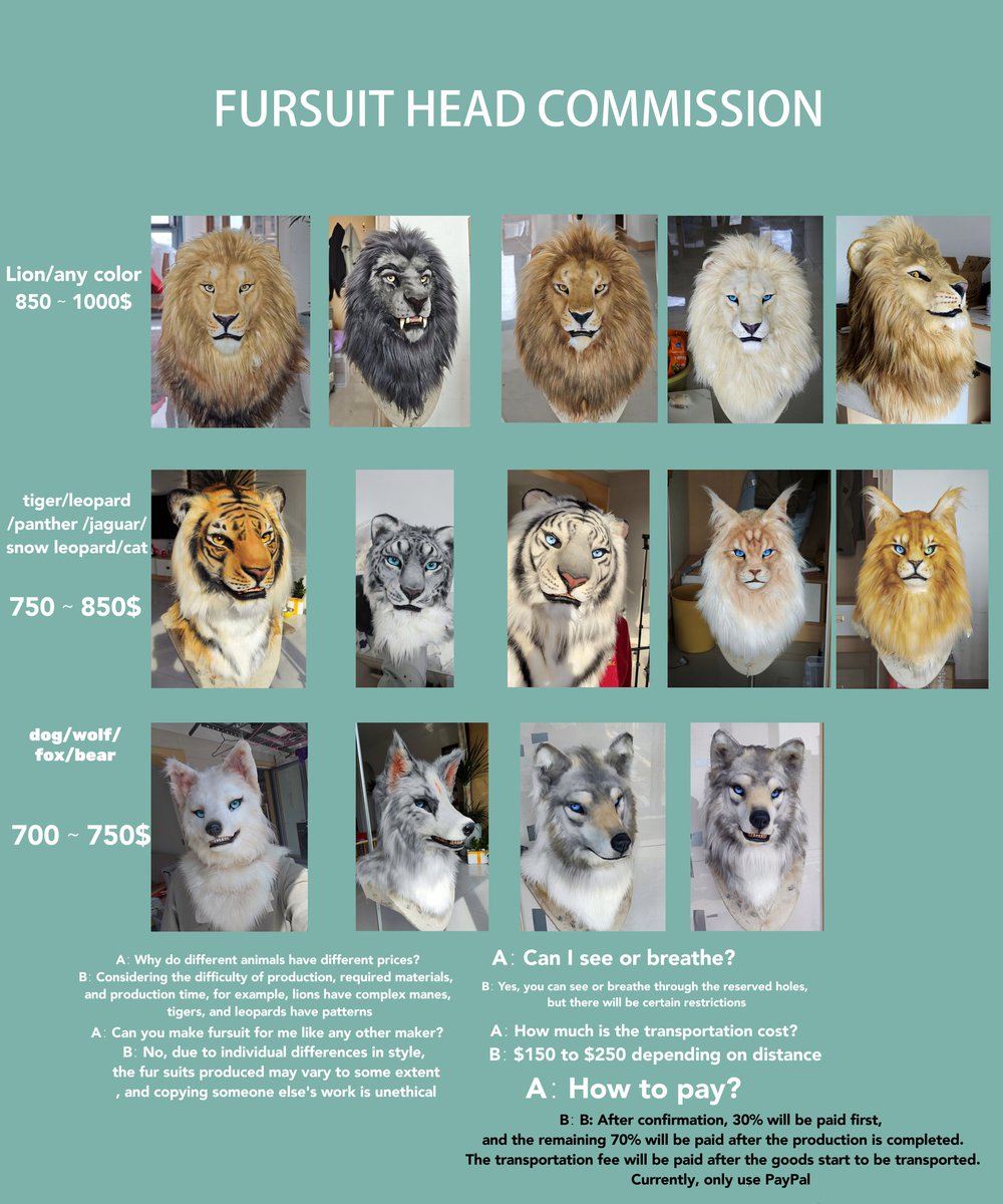 Explanation for Fursuit Head Commission