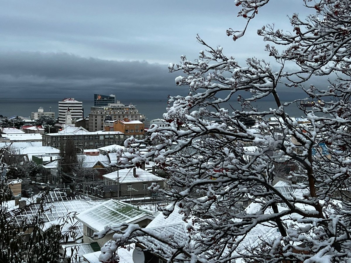 PatriciaStambuk's tweet photo. Así amaneció Punta Arenas. https://t.co/PxWaU1gm3b