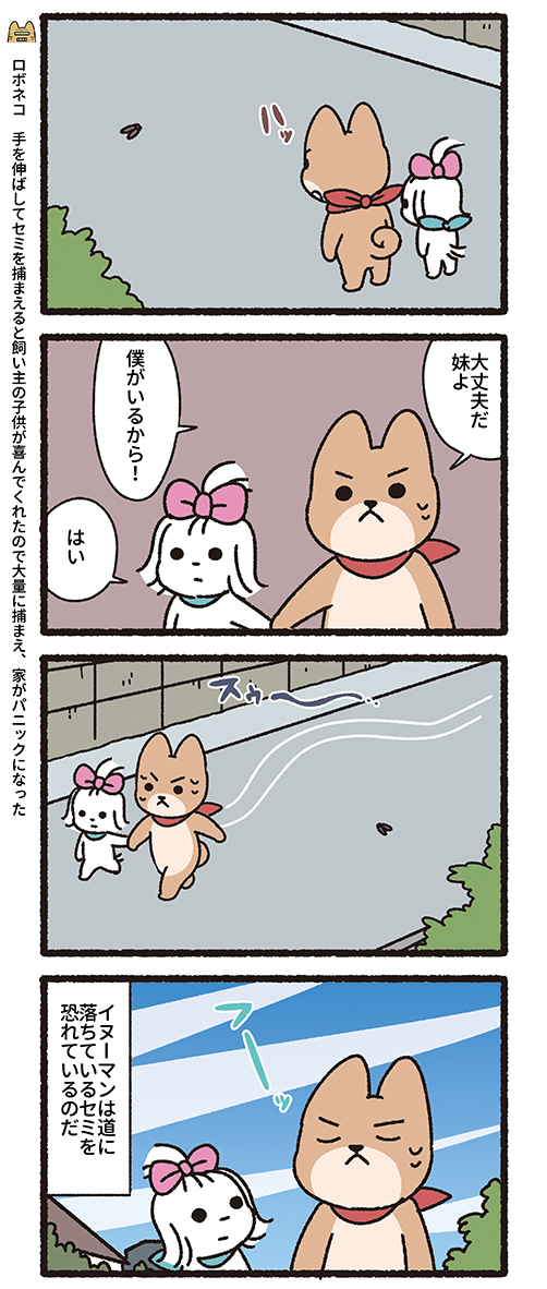 悪の秘密結社ネコ イヌーマンの妹の想い編 
#悪の秘密結社ネコ 