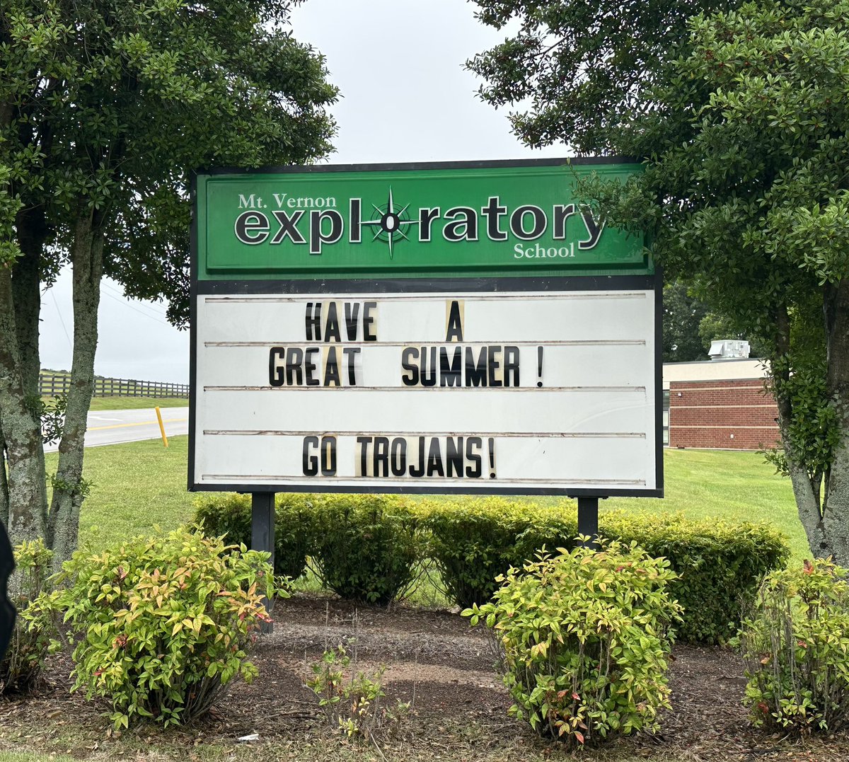 Happy Summer! ✌🏼