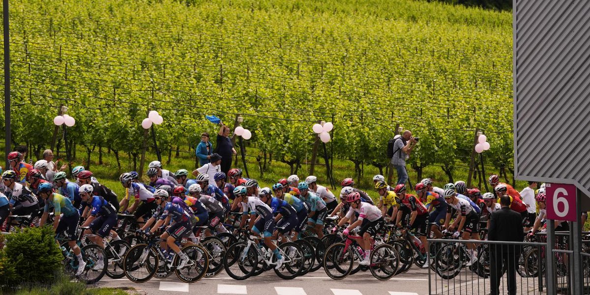 Simone Scalabrin (@scalabrin_iga) on Twitter photo Today, the <a href="/giroditalia/">Giro d'Italia</a> - one of the most famous cycling competitions - sets off from <a href="/fondazionemach/">Fondazione Edmund Mach</a> in San Michele all'Adige, a hub of applied #scientific #research in agriculture, environment, and food. When sport meets science! Today, the <a href="/giroditalia/">Giro d'Italia</a> - one of the most famous cycling competitions - sets off from <a href="/fondazionemach/">Fondazione Edmund Mach</a> in San Michele all'Adige, a hub of applied #scientific #research in agriculture, environment, and food. When sport meets science!