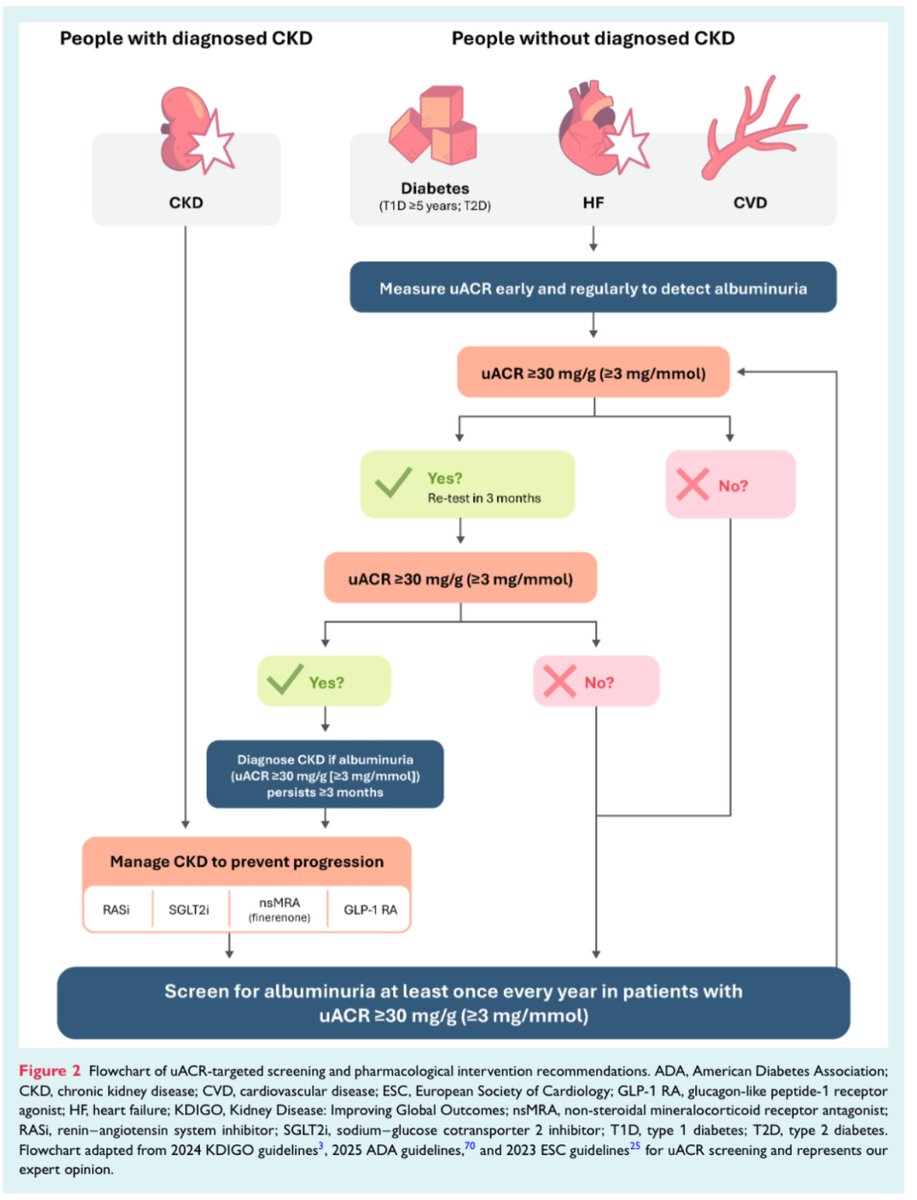 EJHF Editor-in-Chief (@ejhfeic) on Twitter photo #Albuminuria as a diagnostic criterion and a therapeutic target in heart failure and other #CVDs
<a href="/BiykemB/">BiykemBozkurt</a>
onlinelibrary.wiley.com/doi/10.1002/ej… <a href="/HanCardiomd/">Henry Han</a> <a href="/AmrAbdin10/">Amr Abdin</a> <a href="/GiuseppeGalati_/">Giuseppe Galati</a> #EJHF #Albuminuria as a diagnostic criterion and a therapeutic target in heart failure and other #CVDs
<a href="/BiykemB/">BiykemBozkurt</a>
onlinelibrary.wiley.com/doi/10.1002/ej… <a href="/HanCardiomd/">Henry Han</a> <a href="/AmrAbdin10/">Amr Abdin</a> <a href="/GiuseppeGalati_/">Giuseppe Galati</a> #EJHF