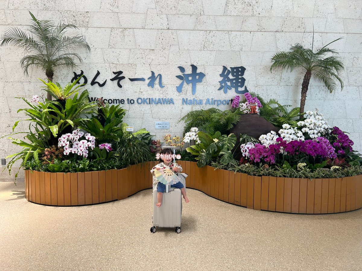 ゆかちん🐰 tweet media