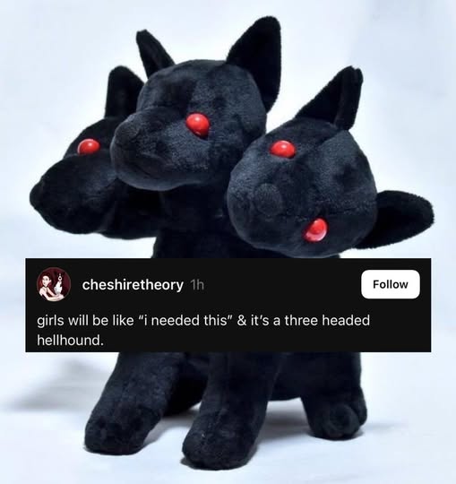 Respectful Memes (@respectfulmemes) on Twitter photo 