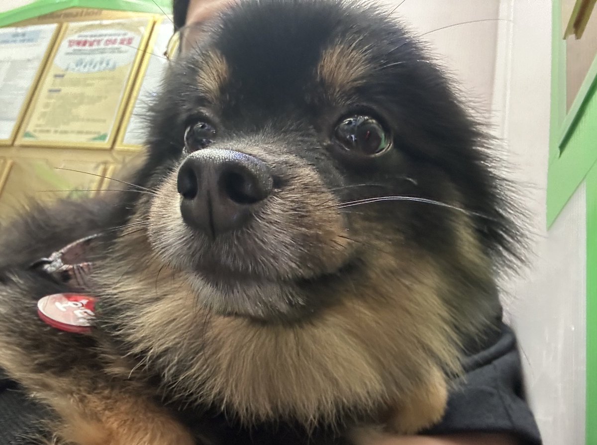 조오디 tweet media