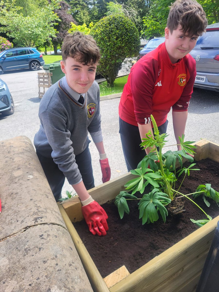 StEunansGS's tweet photo. A big thank you to Kieran Neely, Evan Jijo, Raphael  Brito  Camilot Kimenez, Reese Timoney Duffy, Hugh Mc Clafferty and Shaun O' Donnell who helped the Green-School committee to set plants in our planter boxes. Great work boys♻️💚👏 https://t.co/5dBrvTqk0h