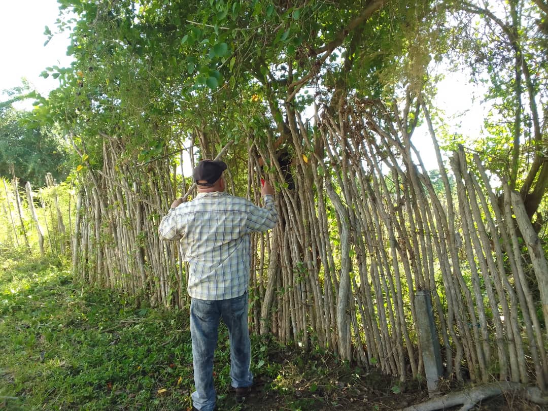 Acciones de reanimación en la Escuela Primaria Dos Ríos  de la Comunidad en Transformación de Peralejo Consejo Populae San Carlos
#SanctiSpíritusEnMarcha
#LaSierpe