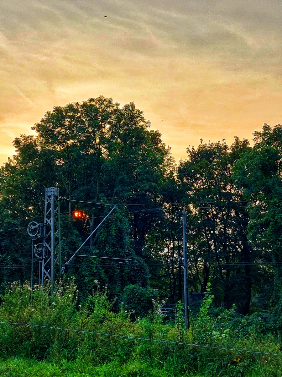 Dirk Schulte
Abend an der Strecke
2024