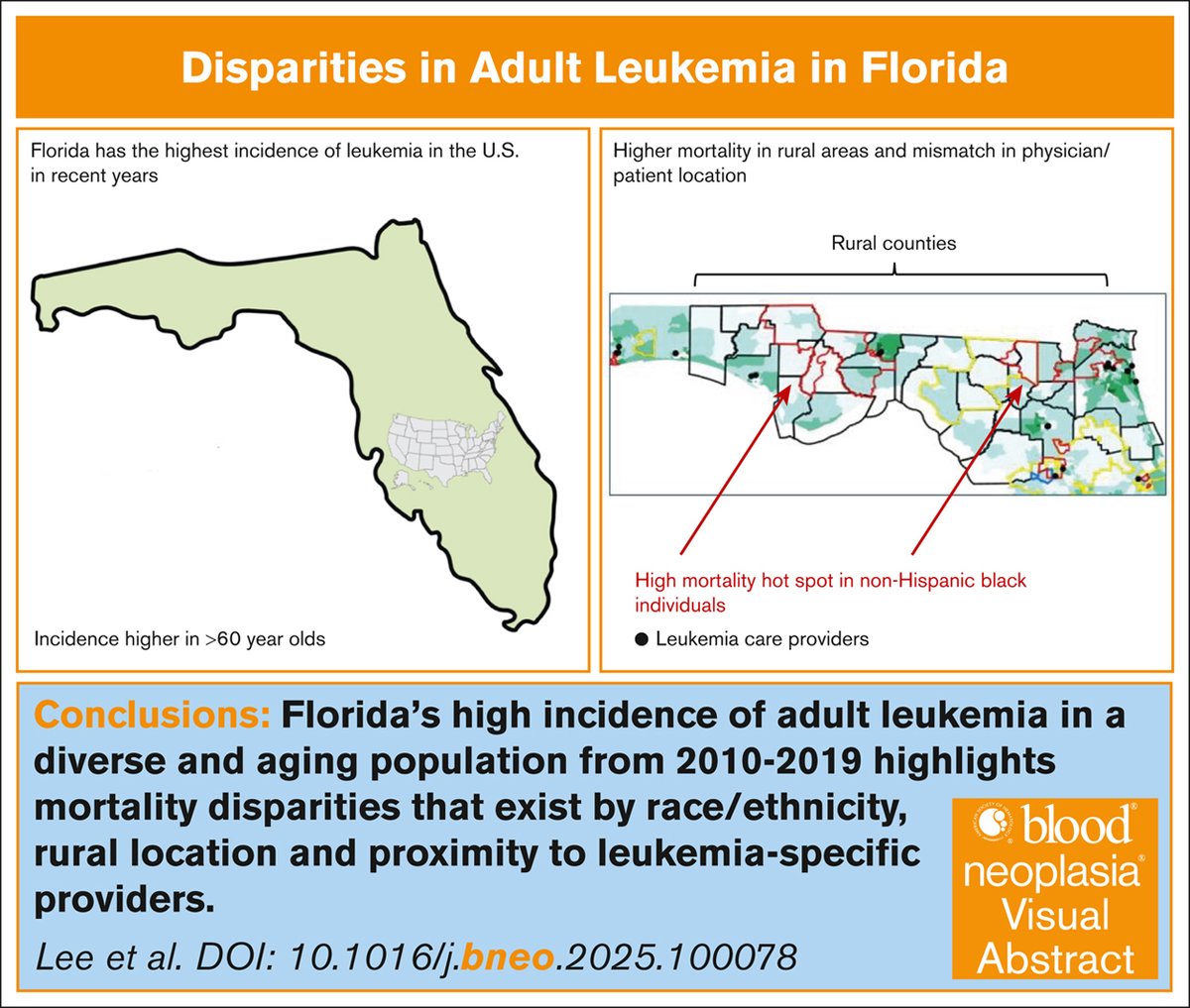 Bloodneoplasia's tweet image. Disparities in leukemia mortality exist by race/ethnicity and sociodemographic factors, including rural location and proximity to providers. ow.ly/e9Gl50VVS04 #clinicaltrialsandobservations #lymphoidneoplasia