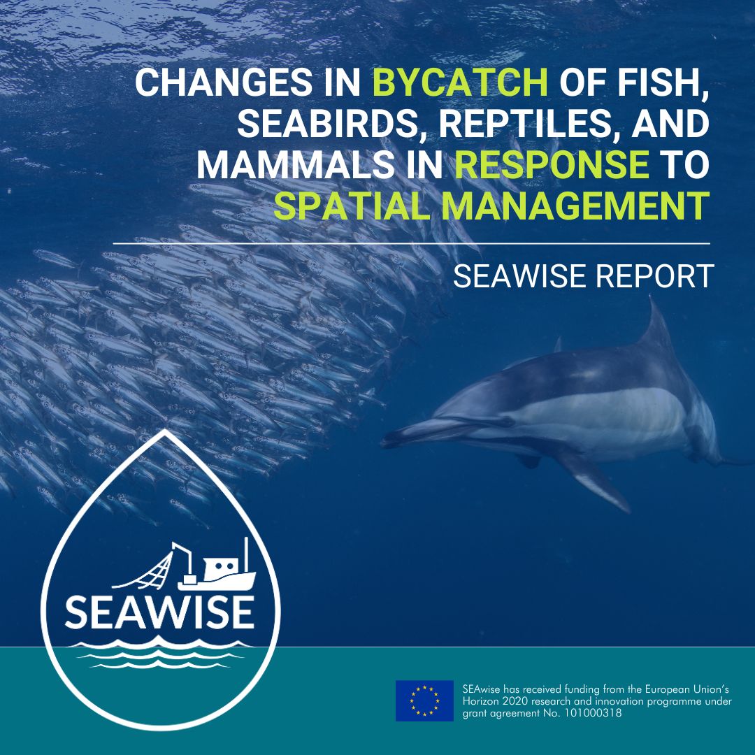 SEAwise (@seawiseproject) on Twitter photo New #SEAwise research explores the impact of different spatial management on #bycatch across European #fisheries. It highlights the importance of tailored & adaptive strategies to conserve protected, endangered & threatened species.
Read here👉 loom.ly/m8E-uOg <a href="/CORDIS_EU/">EU Research Results</a> New #SEAwise research explores the impact of different spatial management on #bycatch across European #fisheries. It highlights the importance of tailored & adaptive strategies to conserve protected, endangered & threatened species.
Read here👉 loom.ly/m8E-uOg <a href="/CORDIS_EU/">EU Research Results</a>