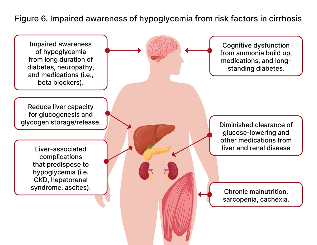 ADA_Pubs's tweet photo. 🚨 New ADA Consensus Report: A multidisciplinary call to action on NAFLD and MAFLD in people with diabetes. Learn how early detection, screening, and team-based care can change outcomes.
📰 Read now: https://t.co/nib1VROEIP
#Diabetes #NAFLD #MAFLD
@AmDiabetesAssn @ADA_DiabetesPro @DiabetesCareADA