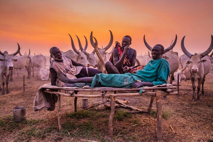 Planning a #SouthSudan safari adventure? 

Let us handle your visa application - completely FREE!

We take care of the paperwork so you can focus on the wildlife, culture and unforgettable experiences

check us out at southsudantour.com

📸Courtesy