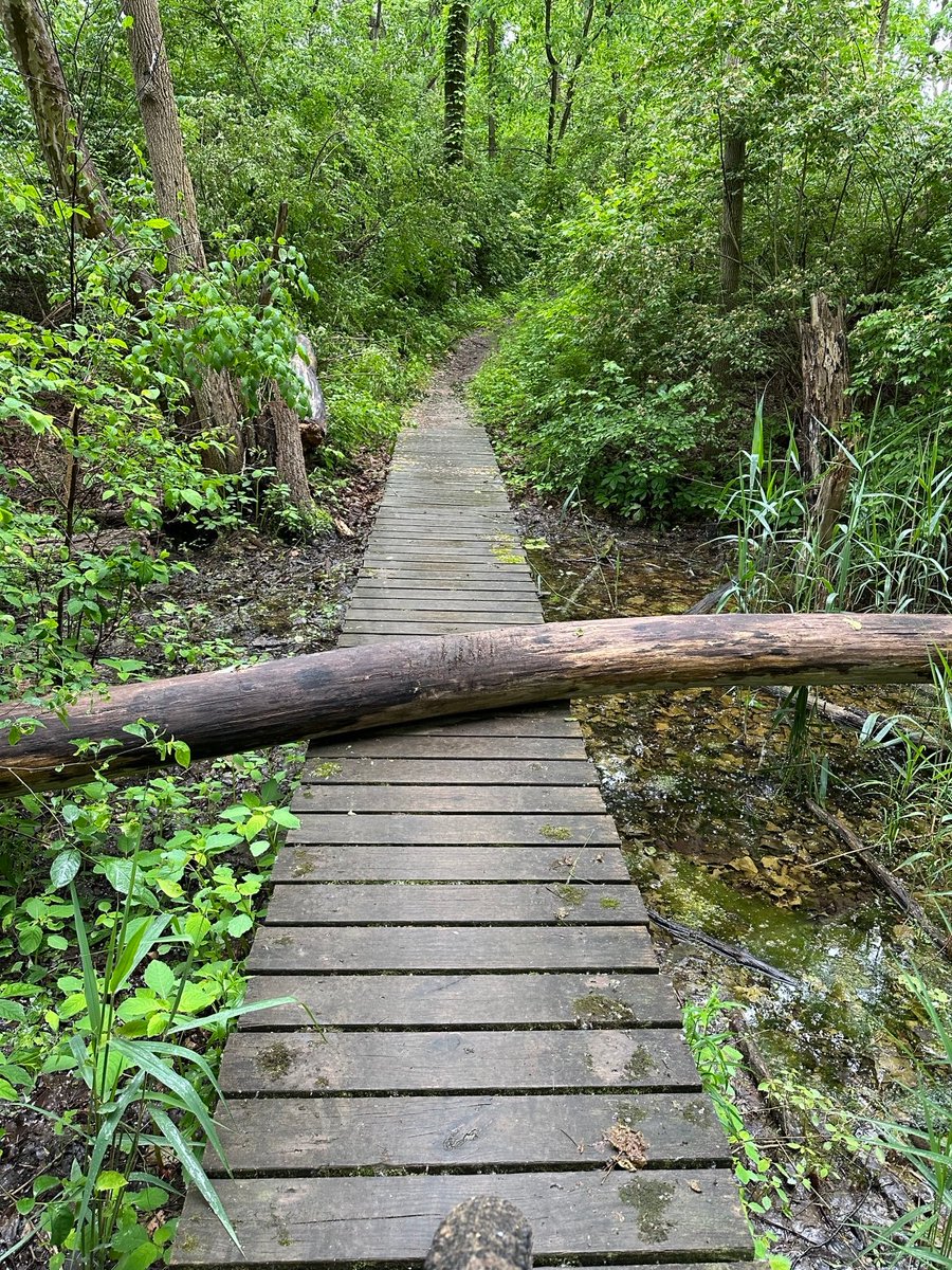 Cleveland Metroparks Trail Conditions tweet media