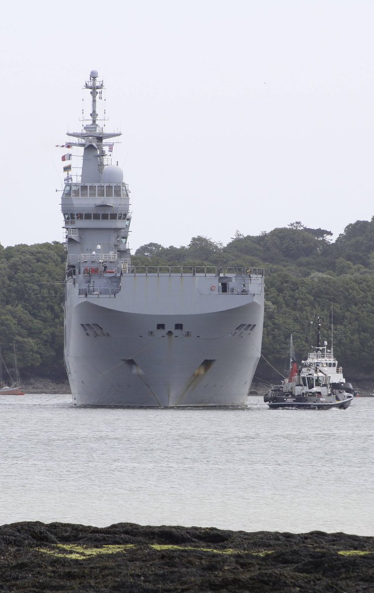 Maritimetom tweet media